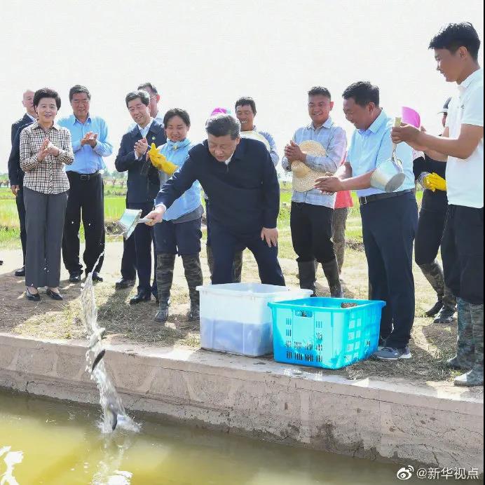 玻璃连栋温室